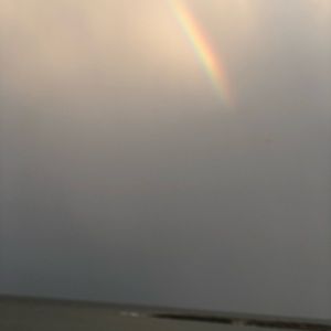 Meet your Posher, Carolyn